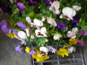 SANY0659_0.JPG