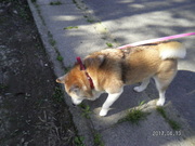 SANY0960.JPG