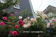 IMG_7664.jpg