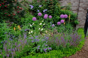 DSCF5581.JPG