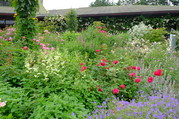 DSCF5800.JPG