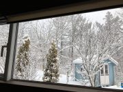 ガーデニング写真雪の中のガーデンシェッド