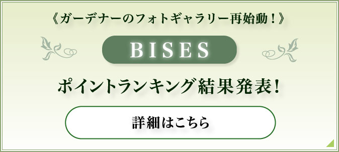 ガーデニングの事ならガーデニング専門誌ビズ Bises